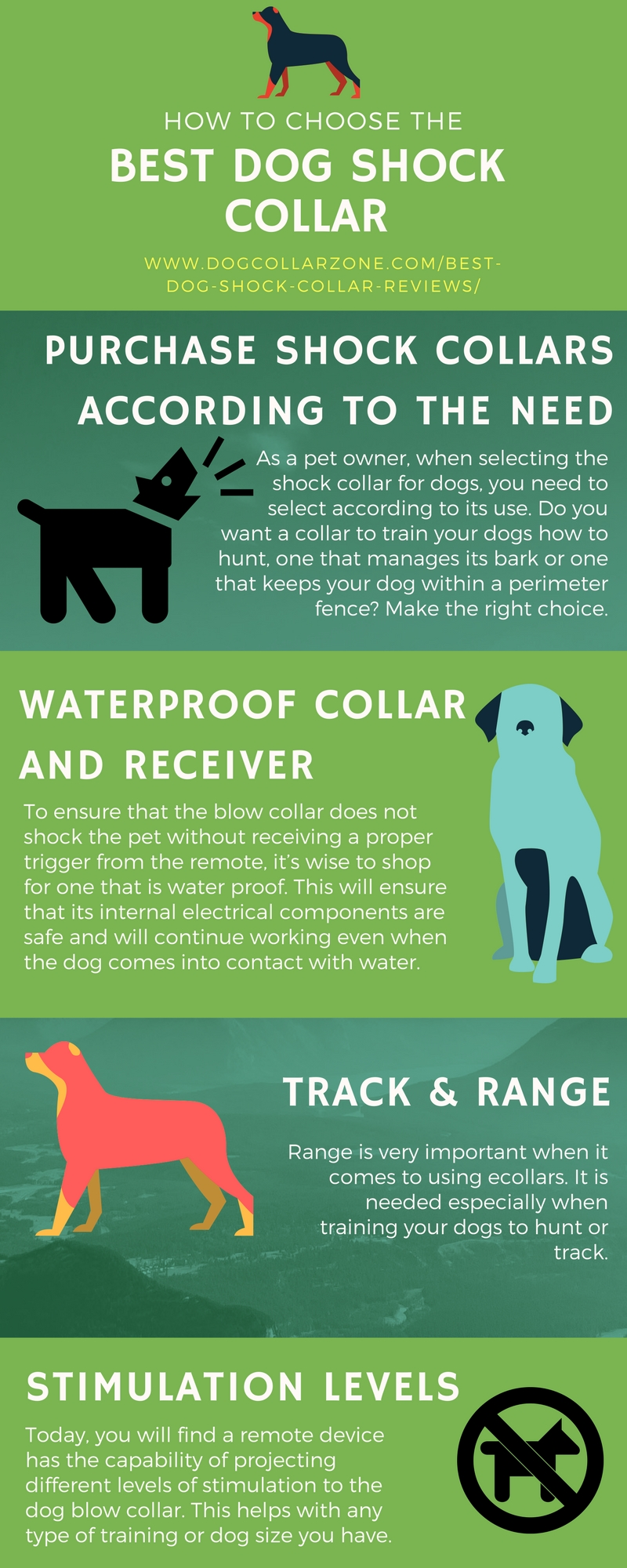 Illustration for article titled How to Choose the Best Dog Shock Collars?
